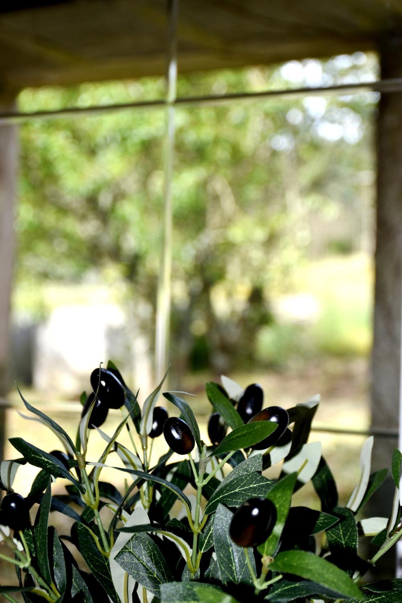 Casa Cal Da Rosins Villa มูเซีย ภายนอก รูปภาพ