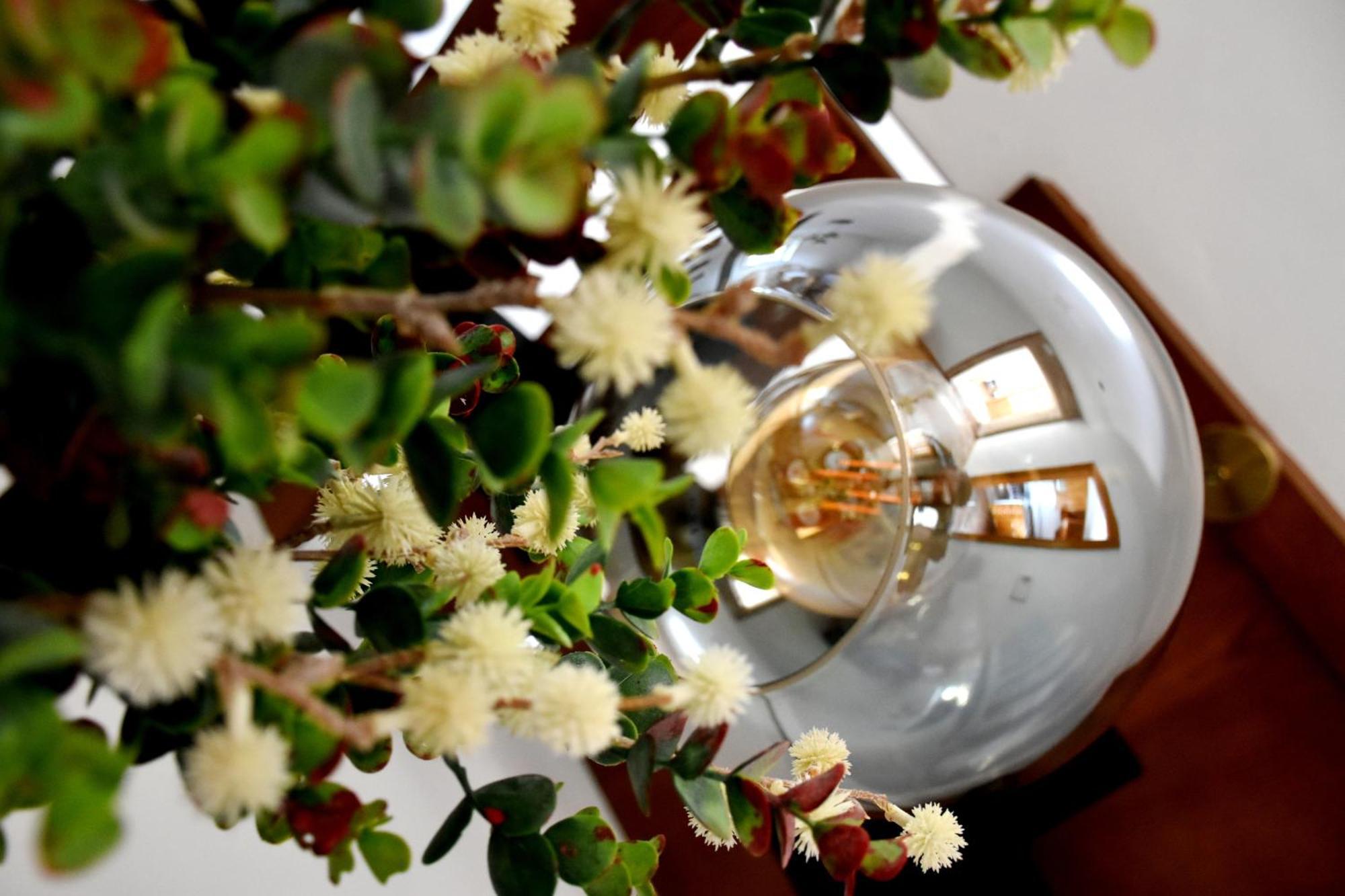 Casa Cal Da Rosins Villa มูเซีย ภายนอก รูปภาพ
