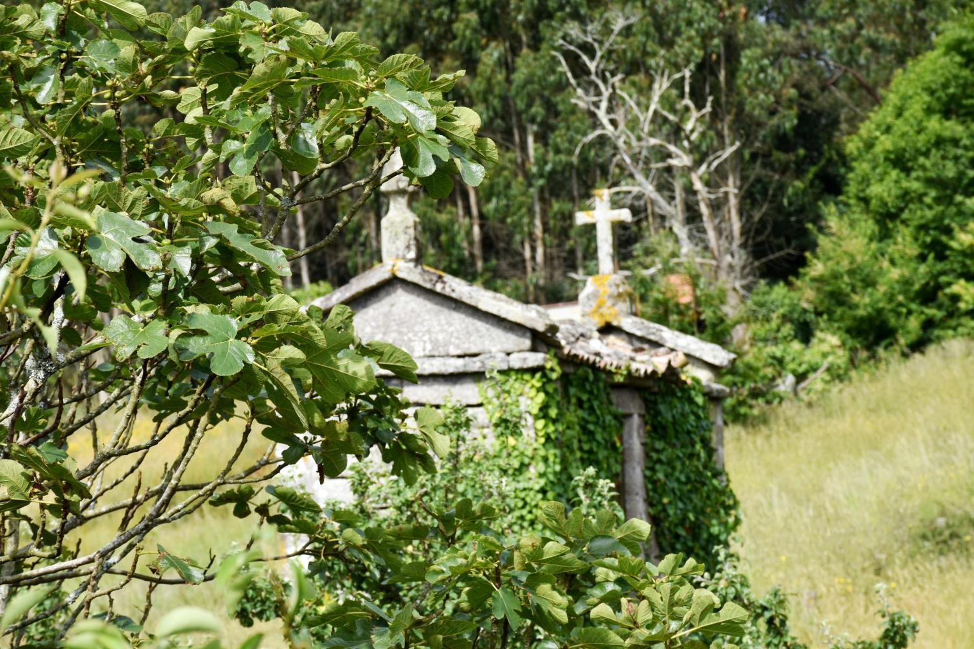 Casa Cal Da Rosins Villa มูเซีย ภายนอก รูปภาพ